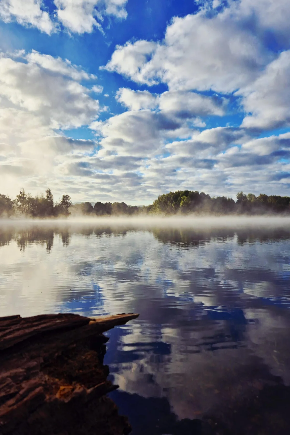 Blick über einen See